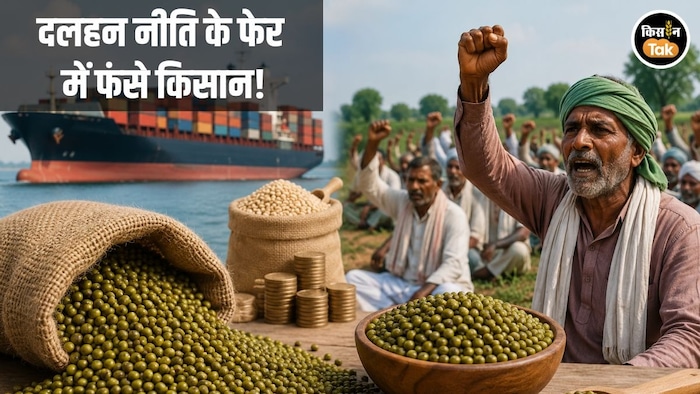 India Pulse Import Policy and domectic production
