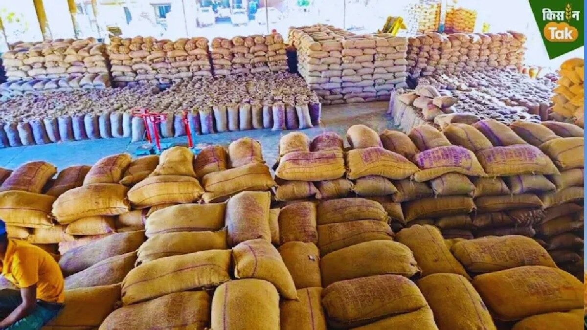 Punjab FCI Rice Storage Issue