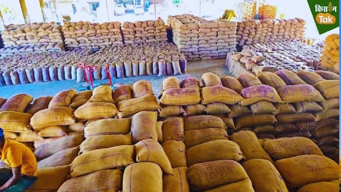 Punjab FCI Rice Storage Issue