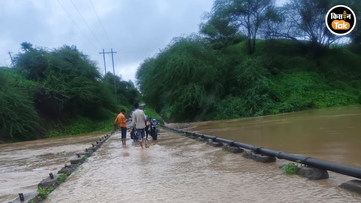 amravati rain news