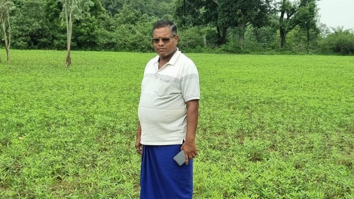 San Beej Kheti chhattisgarh