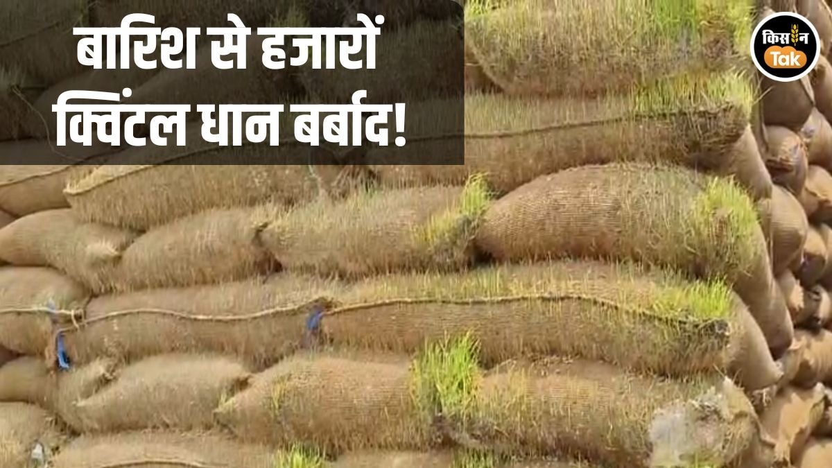 Panna Paddy Storage Failure