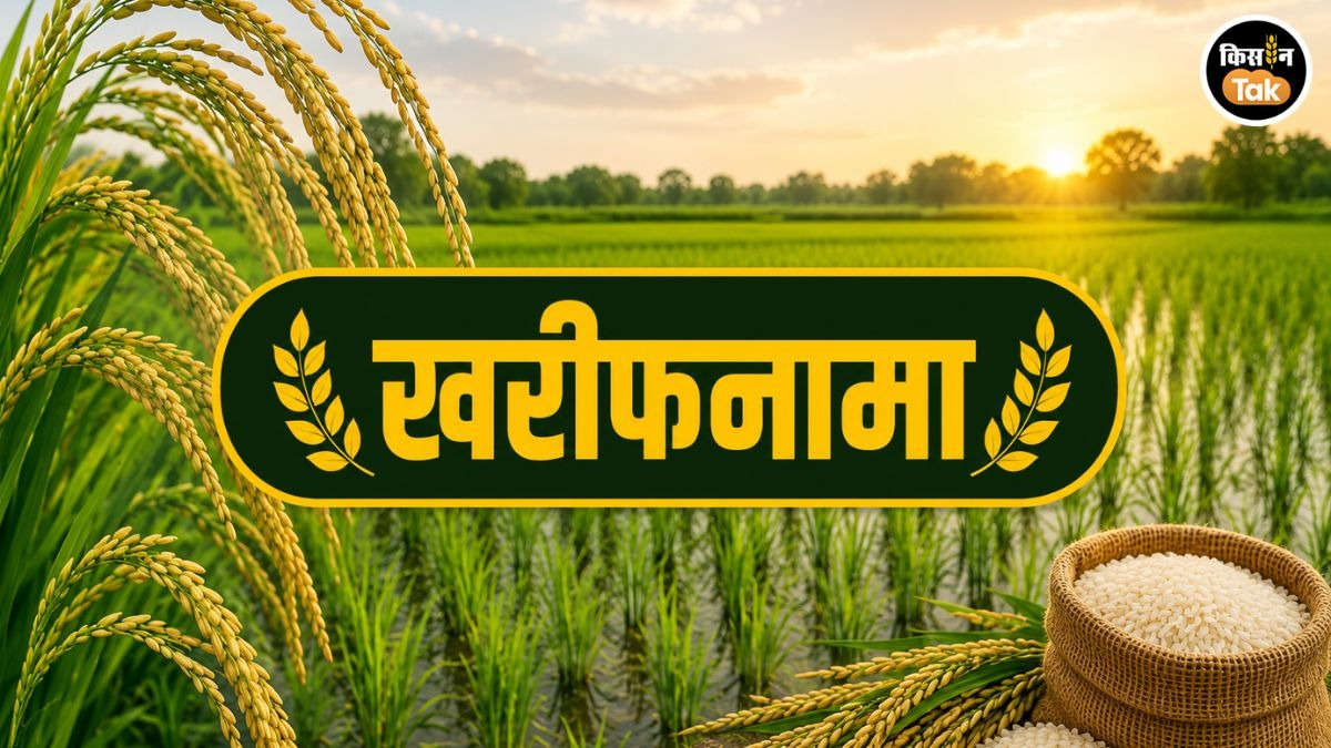 धान की बुवाई में देरी