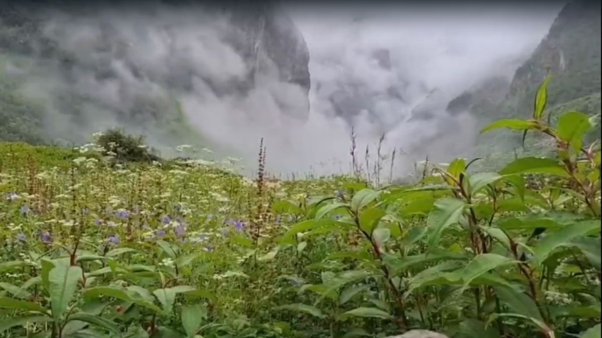 फूलों की घाटी में पर्यटकों की रिकॉर्ड भीड़