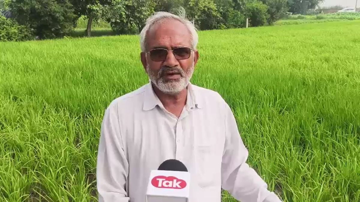 बारिश की कमी से धान की फसल पर संकट