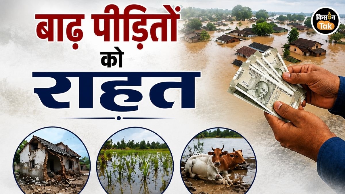 बाढ़ पीड़ितों के लिए राहत