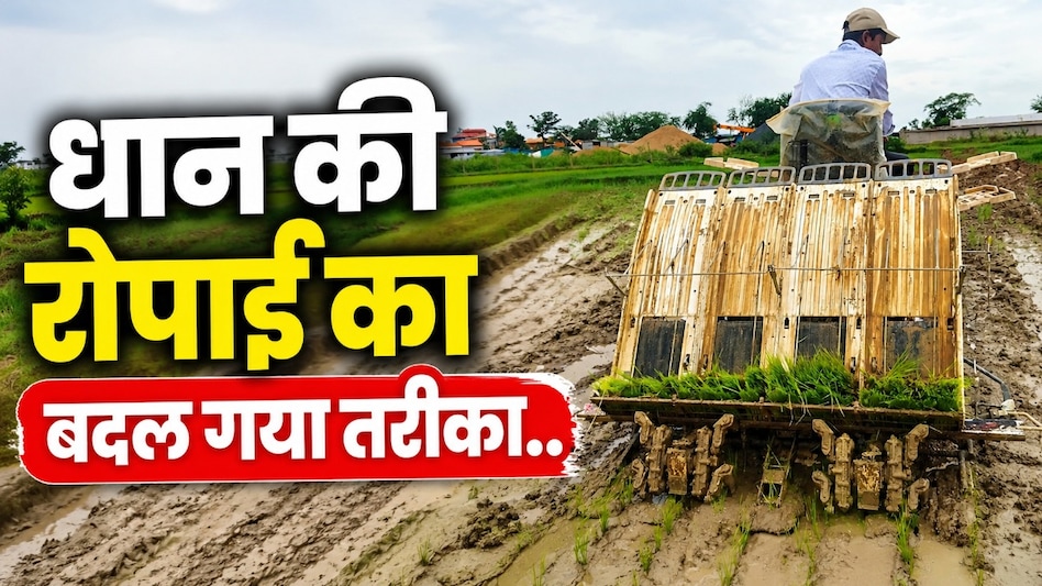 सरकार ने दिए 4 लाख, किसान ने खरीदी 9 लाख की मशीन! अब 16 एकड़ में सिर्फ 2-3 लोगों से हो रही धान की रोपाई सरकार ने दिए 4 लाख, किसान ने खरीदी 9 लाख की मशीन! अब 16 एकड़ में सिर्फ 2-3 लोगों से हो रही धान की रोपाई