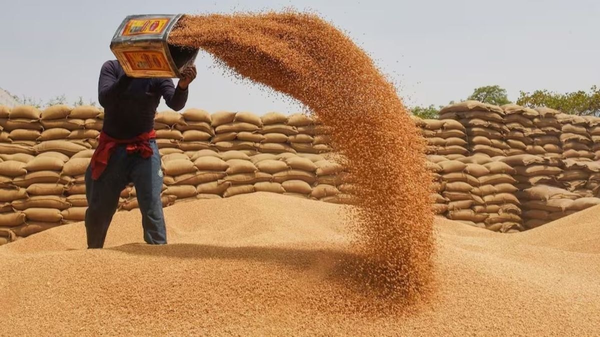  9 वर्षों में 51.70 लाख किसानों से 244.26 लाख मीट्रिक टन गेहूं की हुई खरीद (फाइल फोटो)