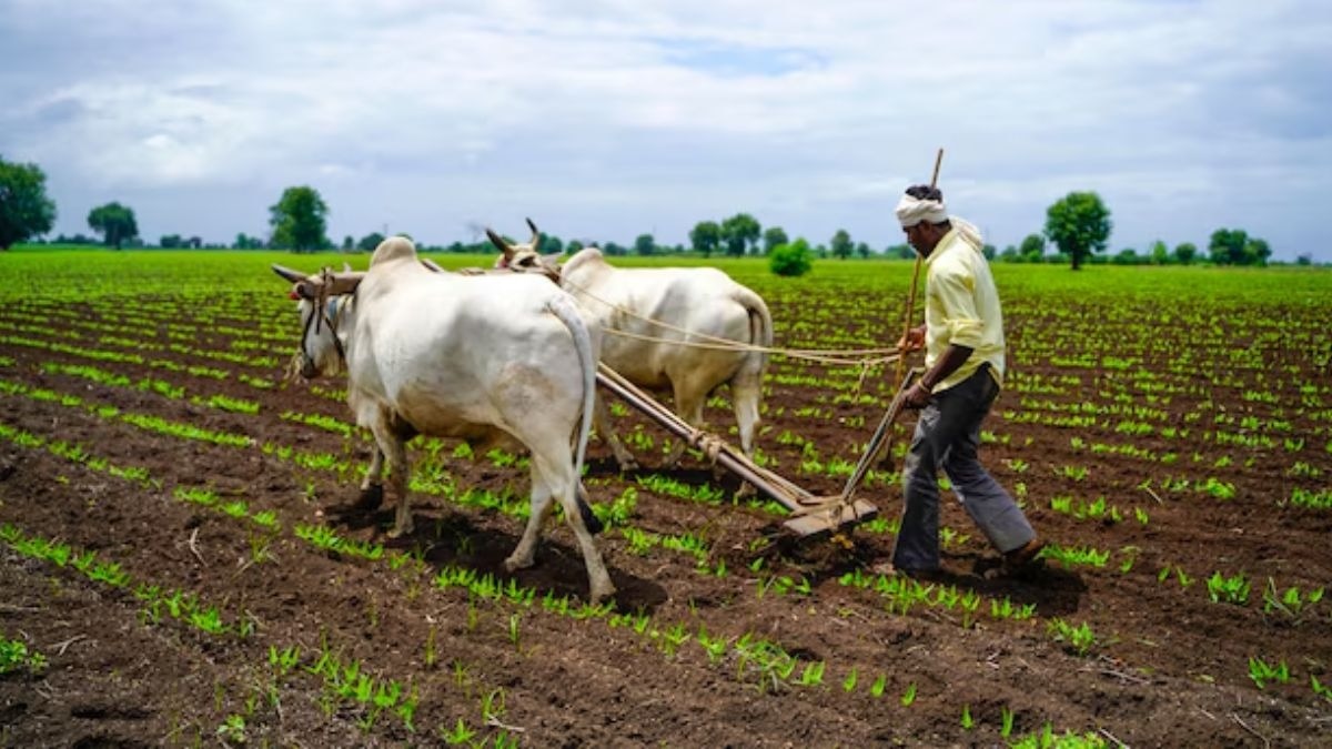 natural farming telangana