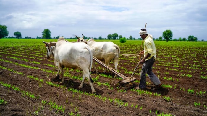 natural farming telangana