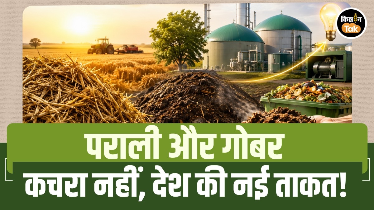 गोबर-पराली से ऊर्जा क्रांति