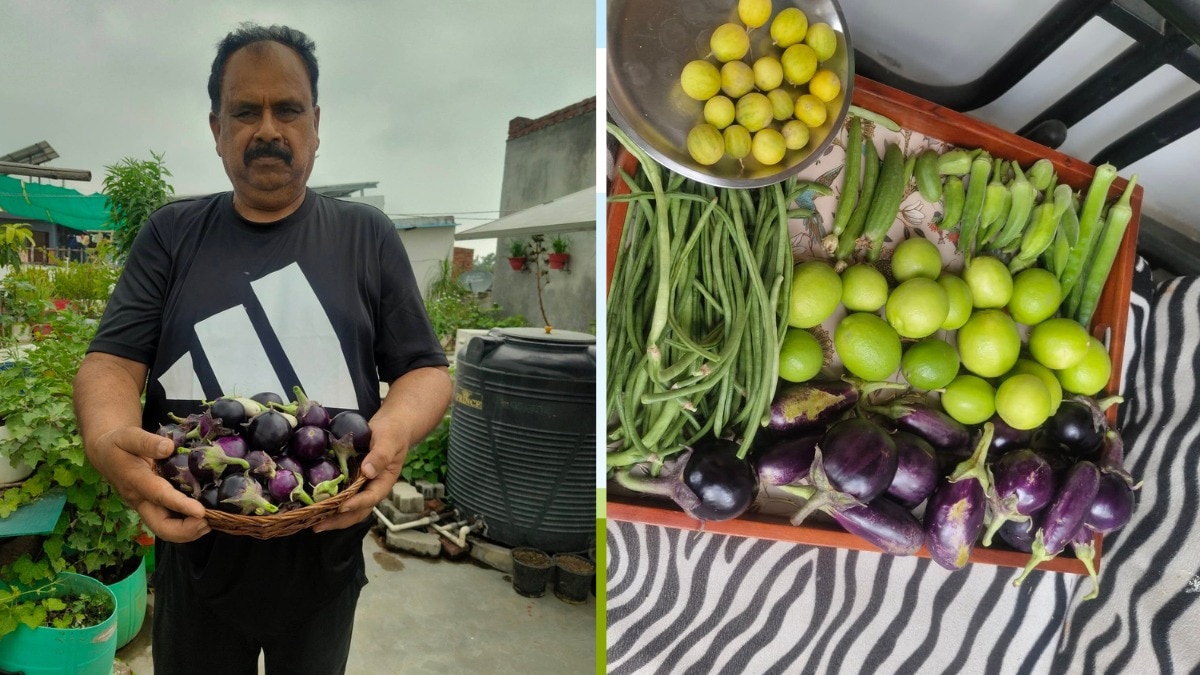 लखनऊ के गोमती नगर के निवासी और समाजसेवी विनोद कुमार पांडेय