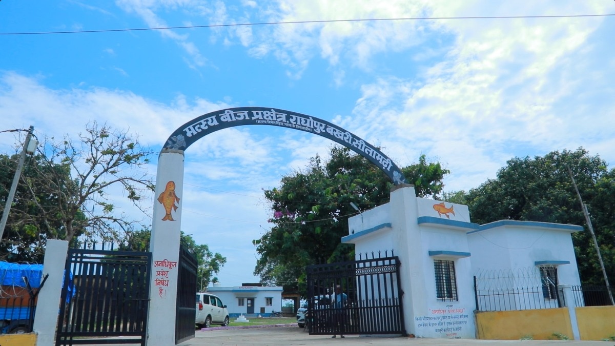 Sitamarhi Fish Brood Bank