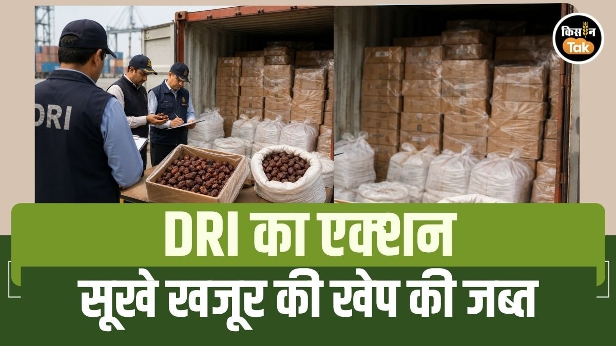 अवैध तरीके से व्यापार करने पर तुला पाकिस्तान, भारत ने लिया बड़ा एक्शन, जब्त किए करोड़ों के कृषि उत्पाद