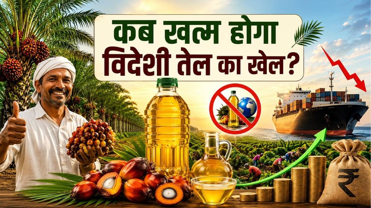 Oilseeds Production India