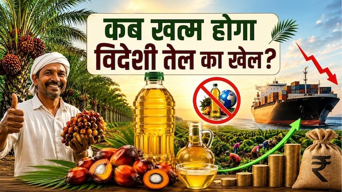 Oilseeds Production India