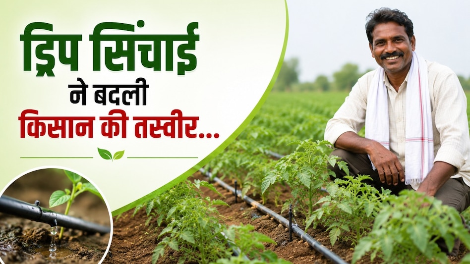 ड्रिप सिंचाई ने बदली किसान की तस्वीर: कम पानी में बढ़ा उत्पादन, टमाटर-गोभी की खेती से बढ़ी आय ड्रिप सिंचाई ने बदली किसान की तस्वीर: कम पानी में बढ़ा उत्पादन, टमाटर-गोभी की खेती से बढ़ी आय