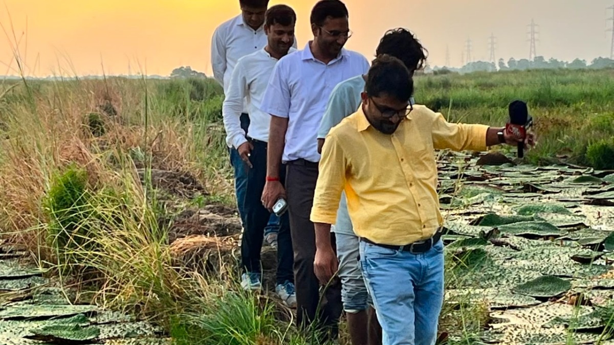 Saran Makhana Cultivation