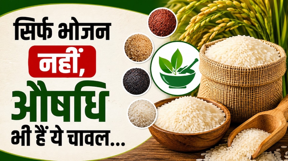 कैंसर से लड़ने की ताकत रखते हैं ये देसी चावल! जानें लाईचा, गठुअन, करहनी का बड़ा राज कैंसर से लड़ने की ताकत रखते हैं ये देसी चावल! जानें लाईचा, गठुअन, करहनी का बड़ा राज