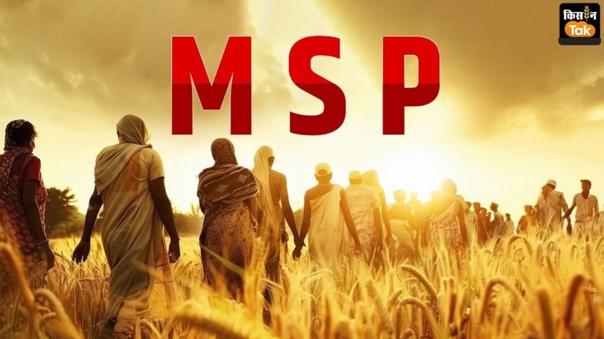 कई फसलों के दाम MSP से नीचे 