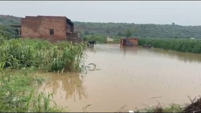 बारिश से फसलों को होगा फायदा