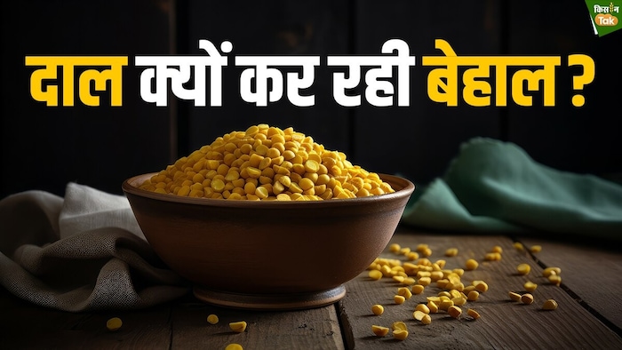 दालों का क्यों बढ़ रहा है इतना दाम?