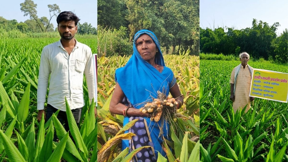 कुशीनगर के किसानों की हल्दी से चमकी किस्मत
