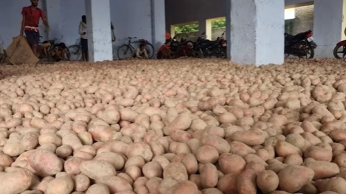 आलू के गिरते दाम से किसान परेशान
