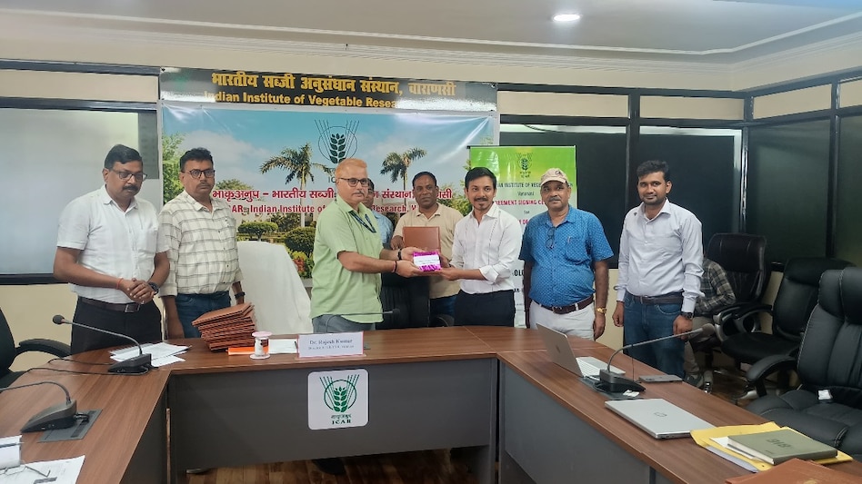किसानों को मिलेंगी 9 उन्नत सब्जी किस्मों के गुणवत्तापूर्ण बीज, IIVR ने दो निजी कंपनियों को दिया लाइसेंस किसानों को मिलेंगी 9 उन्नत सब्जी किस्मों के गुणवत्तापूर्ण बीज, IIVR ने दो निजी कंपनियों को दिया लाइसेंस