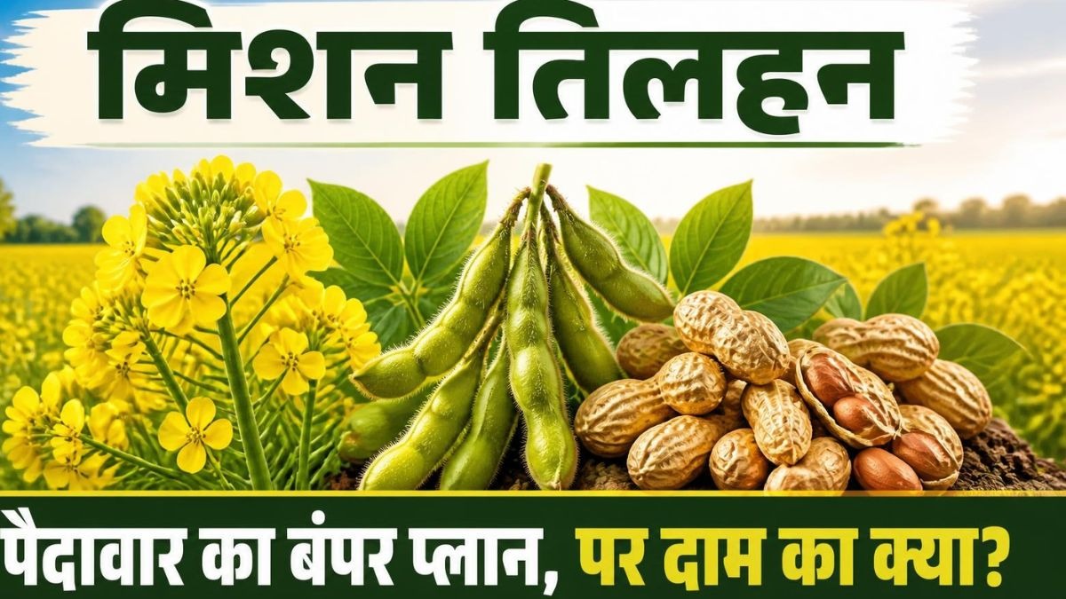 प्लान डेढ़ गुना पैदावार का पर किसानों के दाम का क्या?