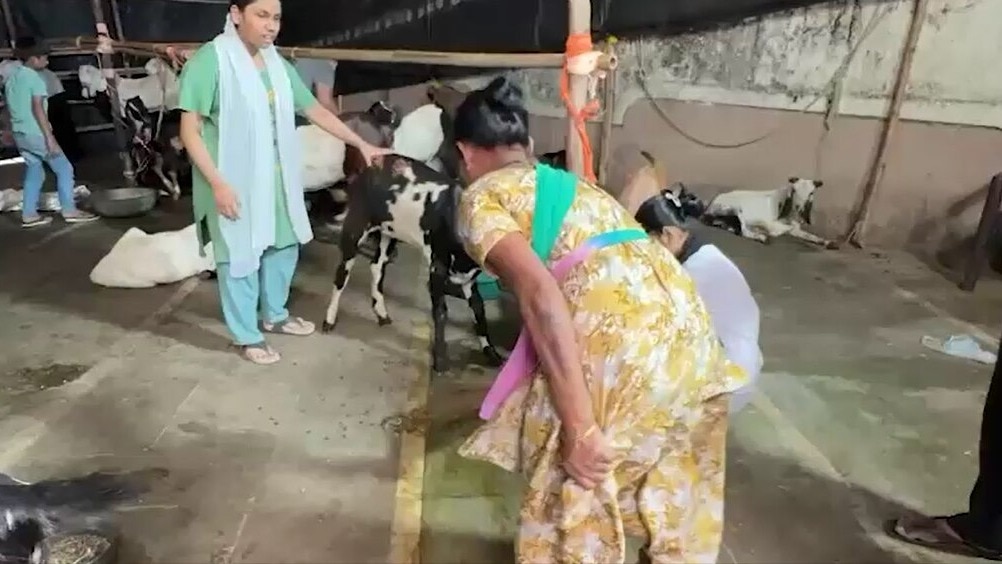 कानपुर देहात के अकबरपुर ब्लॉक की रहने वाली श्वेता बनीं पशु सखी 