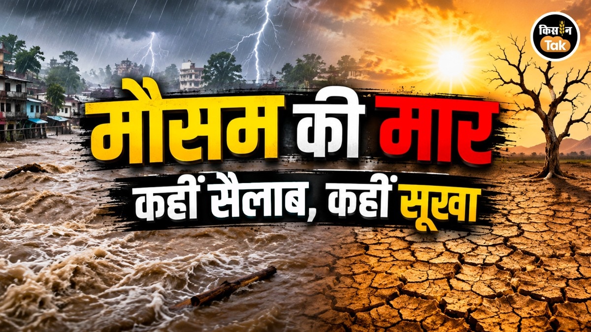 सैलाब और सूखे के बीच फंसी खरीफ की खेती 