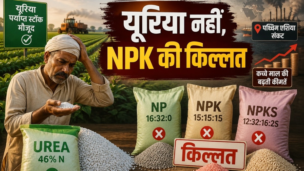 Complex Fertilisers