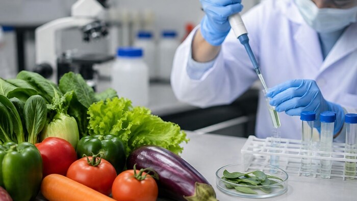Kerala toxic substance found in food