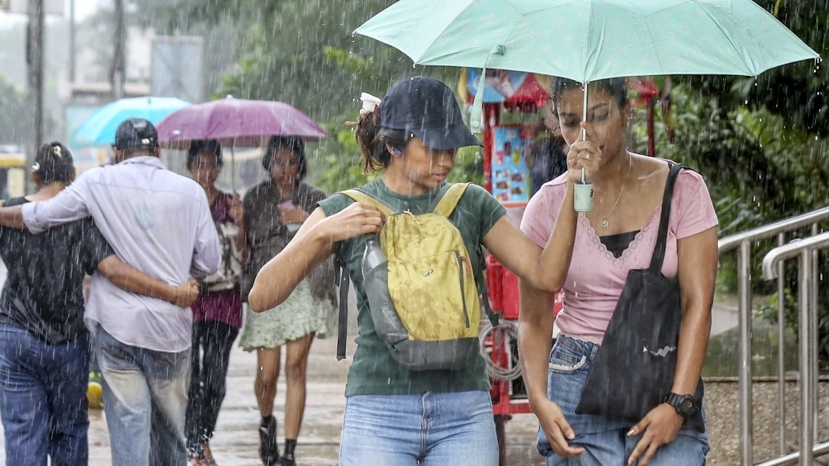 UP WEATHER ALERT 24 से 48 घंटों के बाद यूपी में एक बार फिर से बारिश का दौर शुरु होने वाला है. 