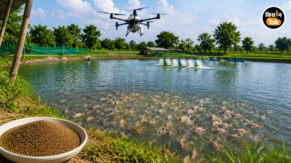 Fisheries Tips: मछलियों को बीमारियों से बचाएगा और हेल्दी भी बनाएगा AI का इस्तेमाल Fisheries Tips: मछलियों को बीमारियों से बचाएगा और हेल्दी भी बनाएगा AI का इस्तेमाल