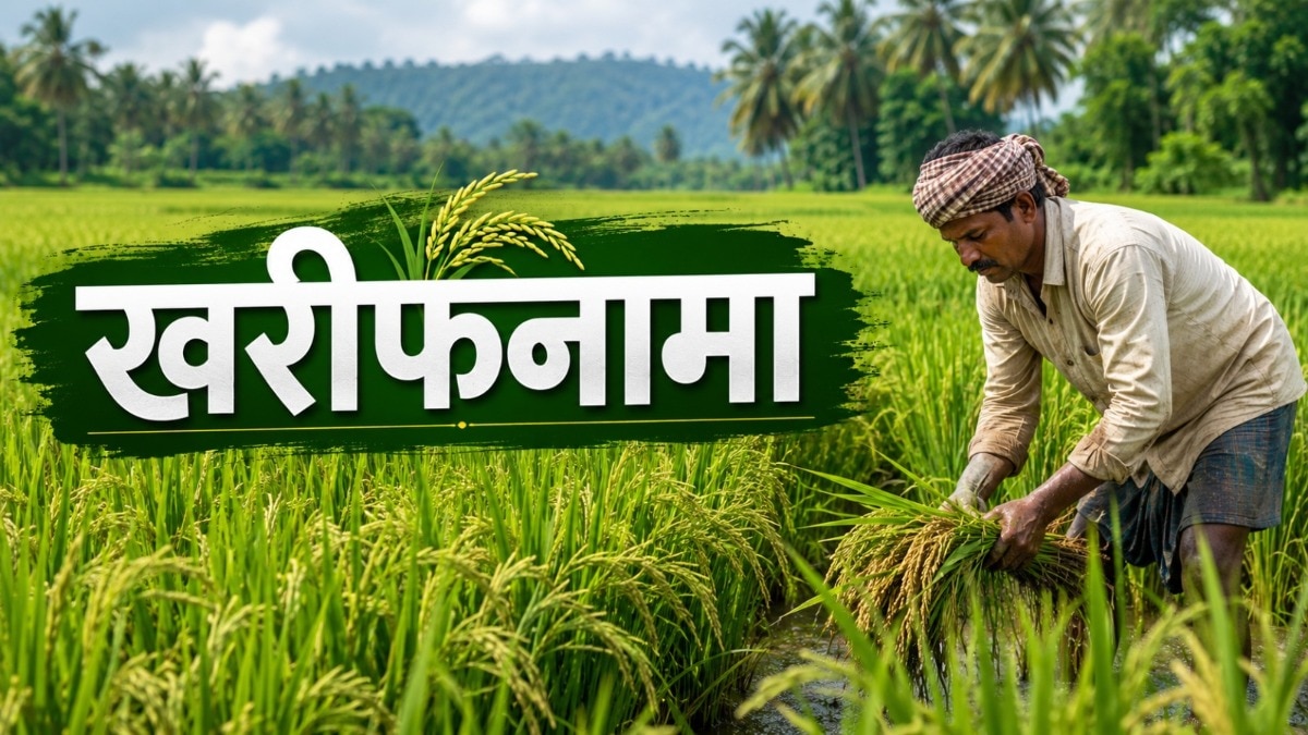 ANR-40 यानी ‘दीप धान 10’ क्यों है खास? जानिए नई धान किस्म की पूरी जानकारी