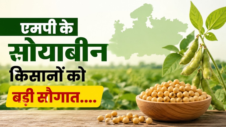 किसान वर्ष में सोयाबीन किसानों को बड़ी सौगात, सीहोर में बनेगा राष्ट्रीय सोयाबीन अनुसंधान संस्थान किसान वर्ष में सोयाबीन किसानों को बड़ी सौगात, सीहोर में बनेगा राष्ट्रीय सोयाबीन अनुसंधान संस्थान