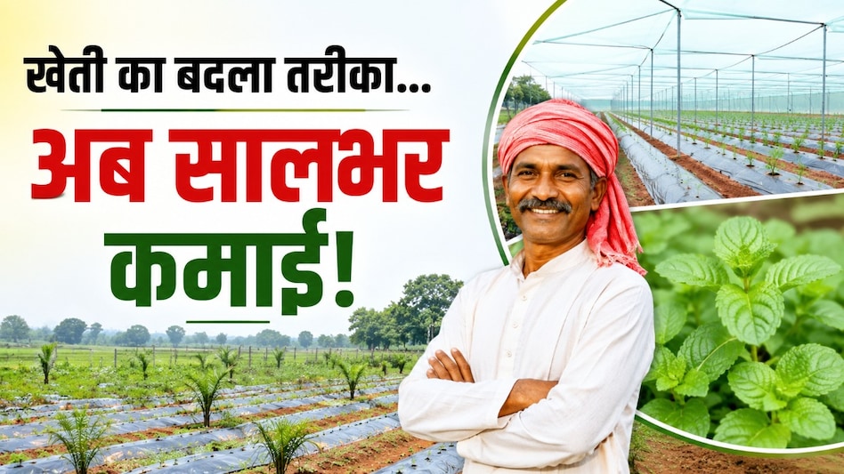 एक फसल पर निर्भरता खत्म, खेती में जोड़ा नया मॉडल; एकीकृत कृषि से जशपुर के अनारथ साय की बढ़ी आमदनी एक फसल पर निर्भरता खत्म, खेती में जोड़ा नया मॉडल; एकीकृत कृषि से जशपुर के अनारथ साय की बढ़ी आमदनी