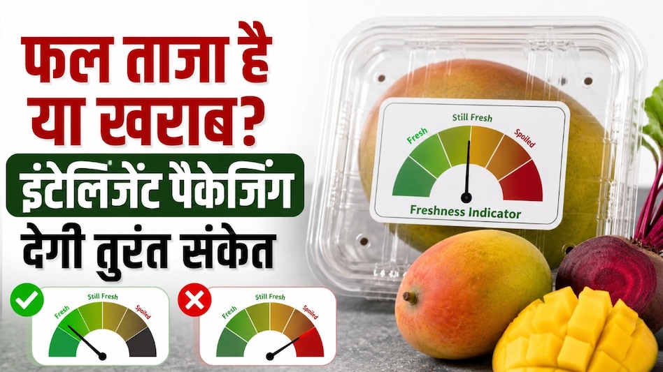 अब पैकेट ही बताएगा फल की गुणवत्ता! भोपाल के वैज्ञानिकों ने तैयार की इंटेलिजेंट पैकेजिंग अब पैकेट ही बताएगा फल की गुणवत्ता! भोपाल के वैज्ञानिकों ने तैयार की इंटेलिजेंट पैकेजिंग