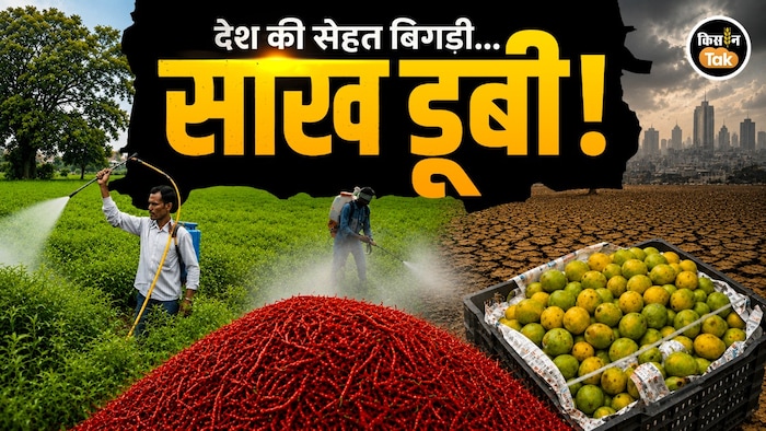 थाली में ज़हर और ग्लोबल बाज़ार में गिरती साख
