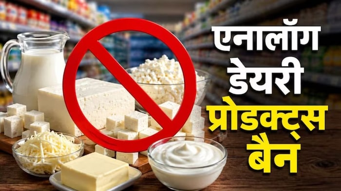 एनालॉग डेयरी प्रोडक्ट्स पर बैन