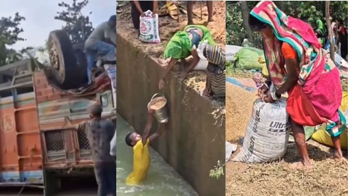 नहर में गिरा गेहूं से लदा ट्रक
