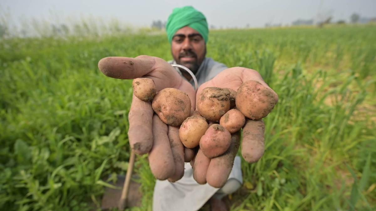 Natural farming in India