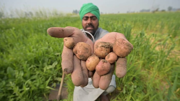 Natural farming in India