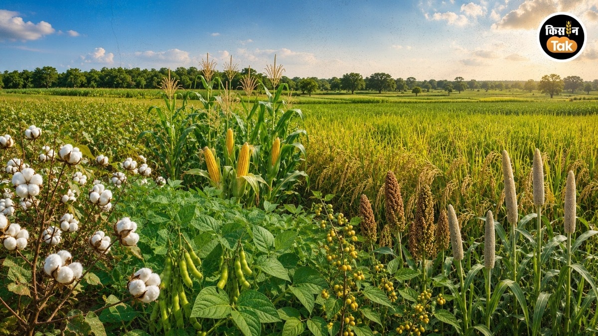 kharif sowing Progress