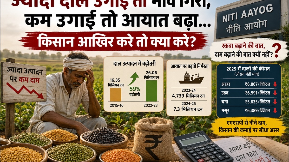 दालों में आत्मनिर्भरता का सपना