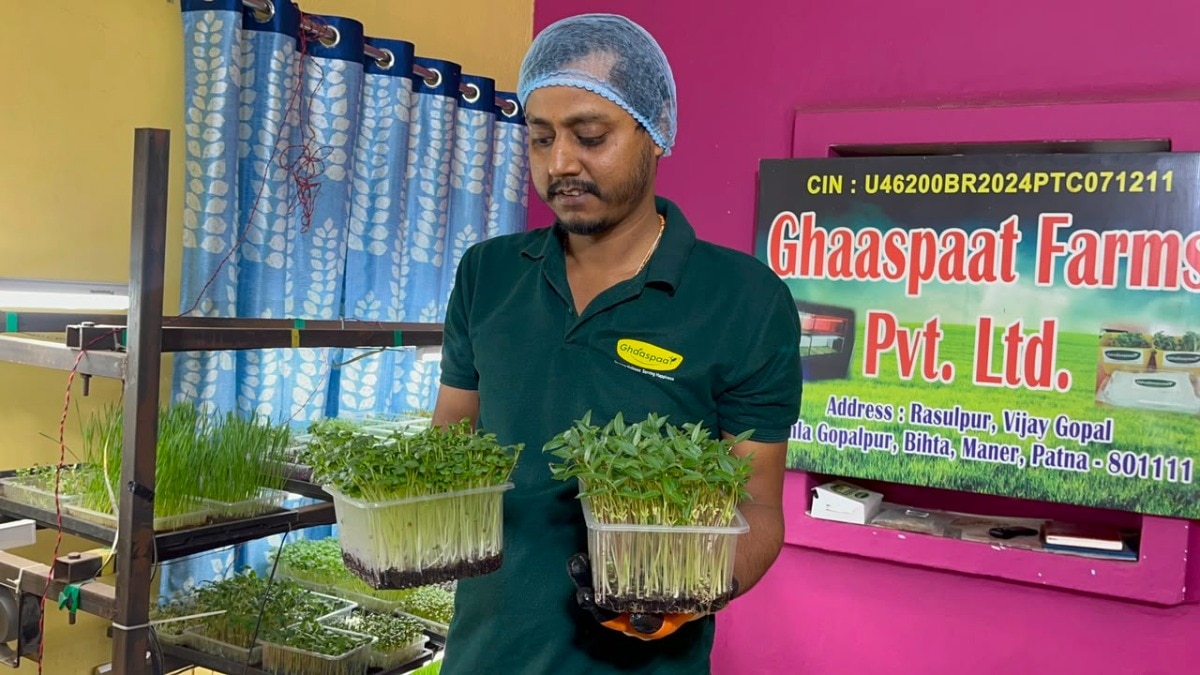 Microgreens Startup