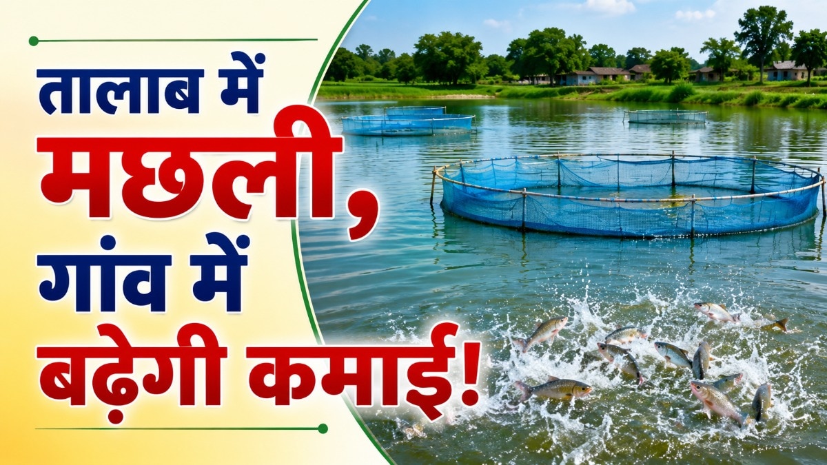 1 लाख मछली के बीज से बदलेगी 45 गांवों की तस्वीर, 50 परिवारों की बढ़ेगी कमाई 1 लाख मछली के बीज से बदलेगी 45 गांवों की तस्वीर, 50 परिवारों की बढ़ेगी कमाई