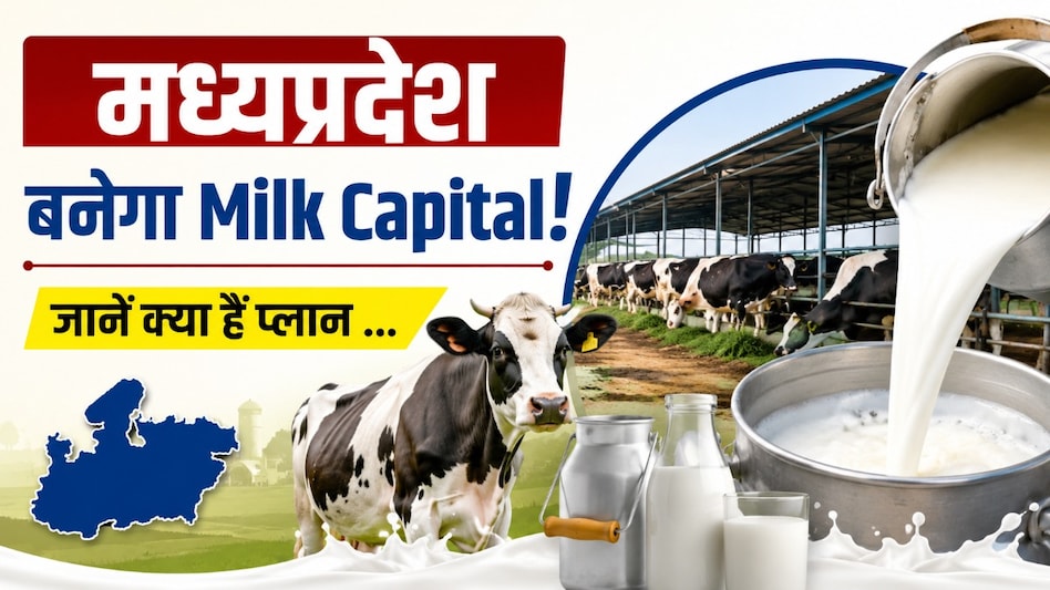मध्यप्रदेश को मिल्क कैपिटल बनाने की तैयारी तेज, 2 हजार नई दुग्ध समितियां गठित मध्यप्रदेश को मिल्क कैपिटल बनाने की तैयारी तेज, 2 हजार नई दुग्ध समितियां गठित